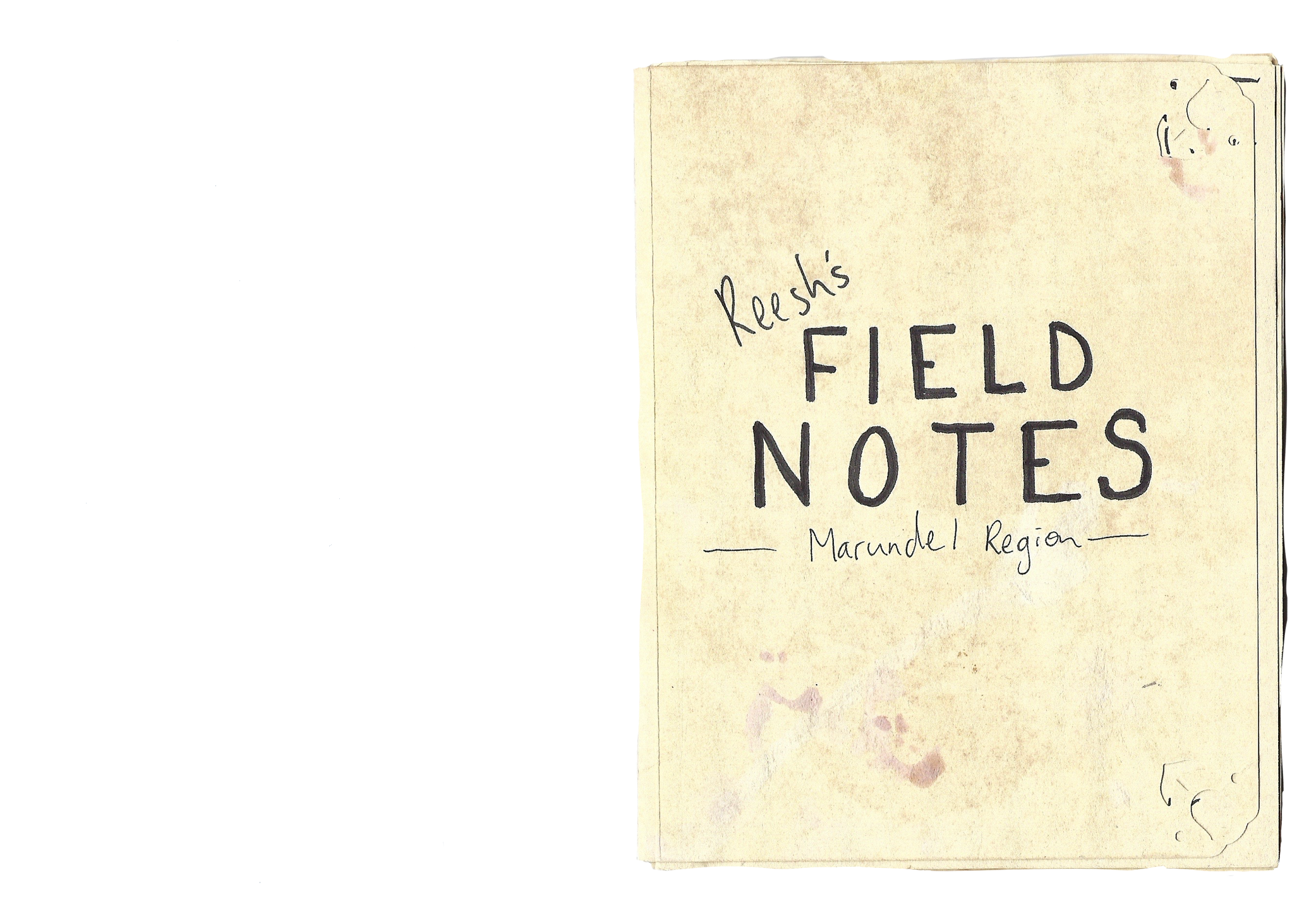 Reesh's Field Notes to Bitcraft